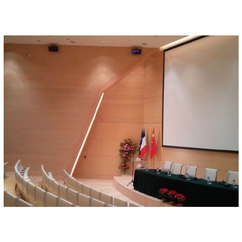 北京市XX大使馆- - -国际性会议室